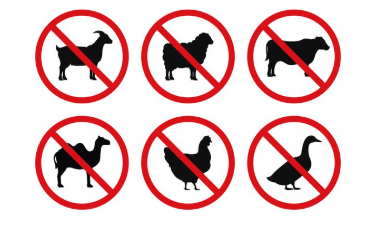 rejet des sacrifices sanglants