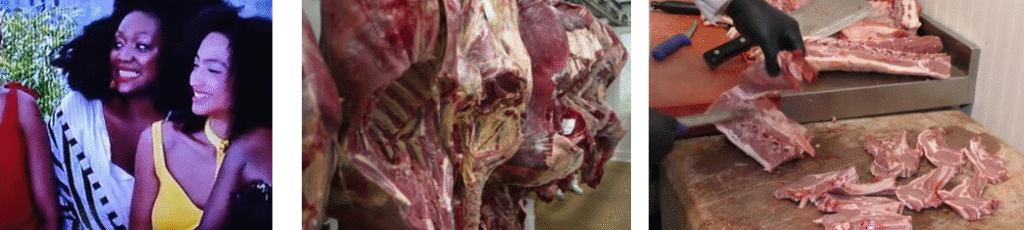 féminisme et abattoir des animaux