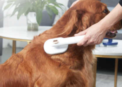 peigne à poils d’animaux