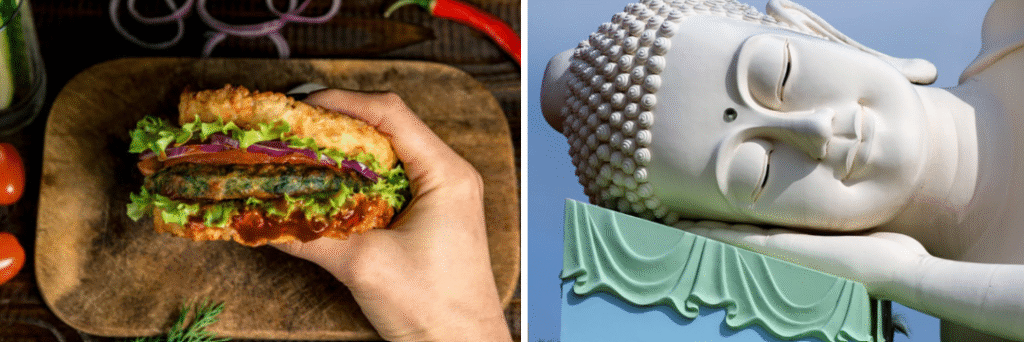 Evolution de la conscience humaine