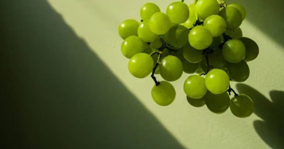 couleur verte de page 11