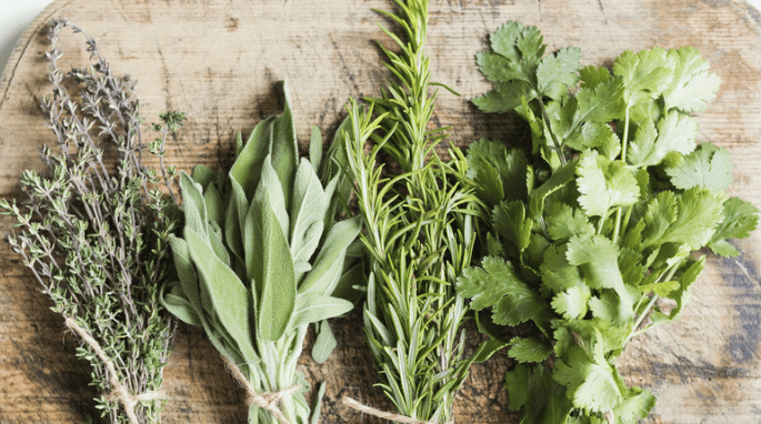 les plantes et les herbes2